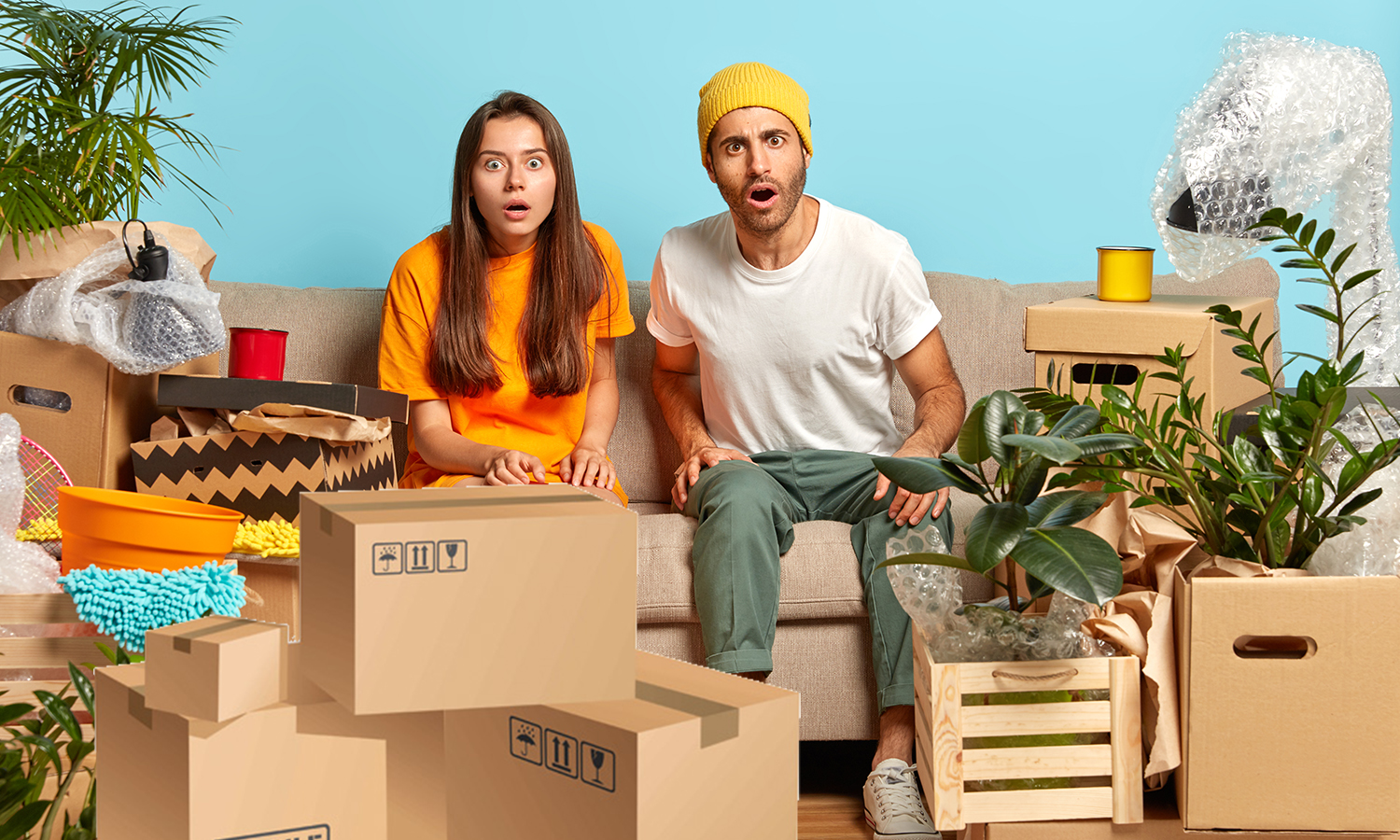 Best House Removal Company for Your Needs - Blog - Amazing Logistics